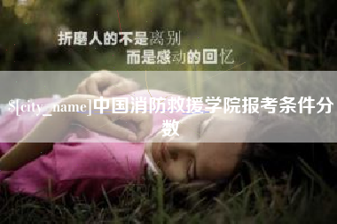 安丘中国消防救援学院报考条件分数