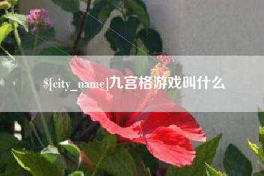 安丘九宫格游戏叫什么