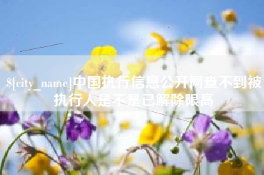 安丘中国执行信息公开网查不到被执行人是不是已解除限高
