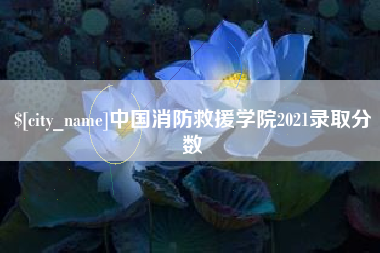 安丘中国消防救援学院2021录取分数