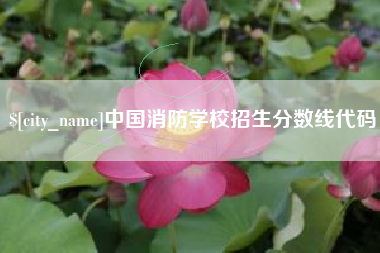 安丘中国消防学校招生分数线代码