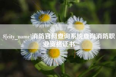 安丘消防官网查询系统查询消防职业资格证书