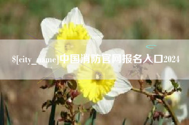安丘中国消防官网报名入口2024