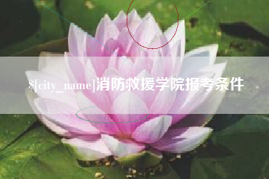 安丘消防救援学院报考条件