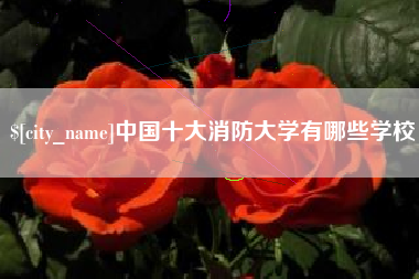 安丘中国十大消防大学有哪些学校