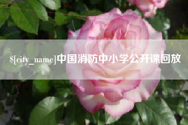 安丘中国消防中小学公开课回放