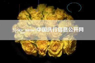 安丘中国执行信息公开网