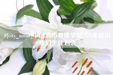 安丘中国消防救援学院2020年在山东招生计划表