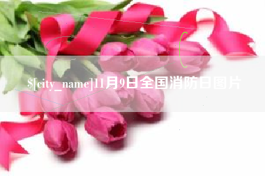 安丘11月9日全国消防日图片