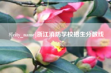 安丘浙江消防学校招生分数线