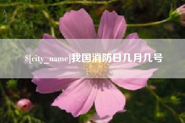 安丘我国消防日几月几号
