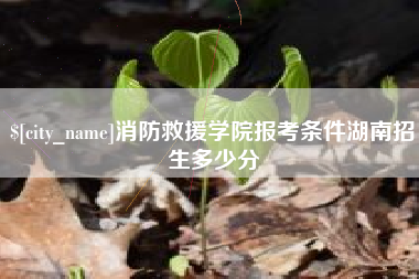 安丘消防救援学院报考条件湖南招生多少分
