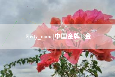 安丘中国金牌18金
