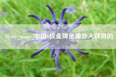 安丘中国6枚金牌是哪些人获得的