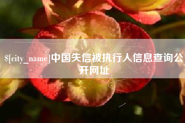 安丘中国失信被执行人信息查询公开网址