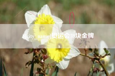 安丘奥运会39块金牌