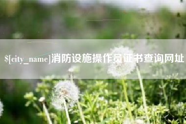 安丘消防设施操作员证书查询网址