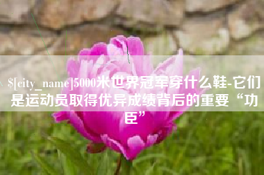 安丘5000米世界冠军穿什么鞋-它们是运动员取得优异成绩背后的重要“功臣”