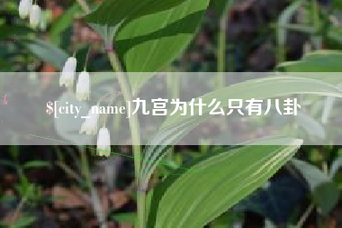 安丘九宫为什么只有八卦