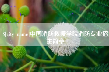 安丘中国消防救援学院消防专业招生简章