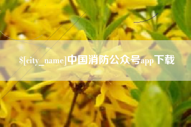安丘中国消防公众号app下载