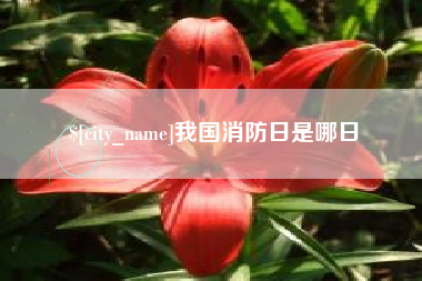 安丘我国消防日是哪日