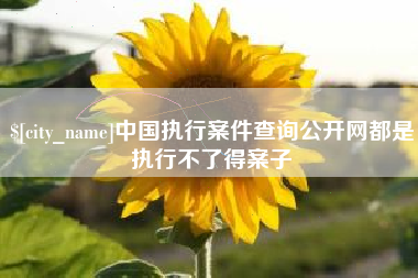 安丘中国执行案件查询公开网都是执行不了得案子