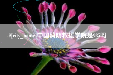 安丘中国消防救援学院是985吗