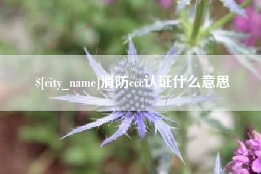 安丘消防ccc认证什么意思