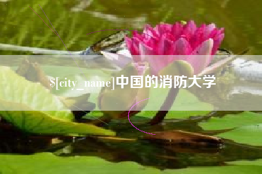 安丘中国的消防大学