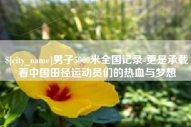 安丘男子5000米全国记录-更是承载着中国田径运动员们的热血与梦想