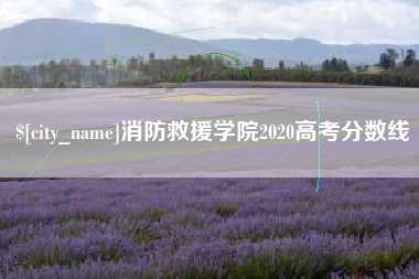 安丘消防救援学院2020高考分数线