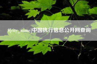 安丘中国执行信息公开网查询