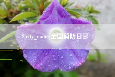 安丘全国消防日哪一