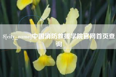 安丘中国消防救援学院官网首页查询