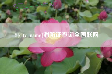安丘消防证查询全国联网