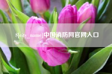 安丘中国消防网官网入口