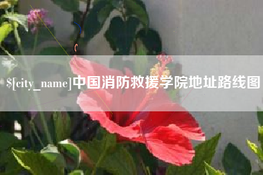 安丘中国消防救援学院地址路线图