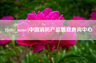 安丘中国消防产品信息查询中心