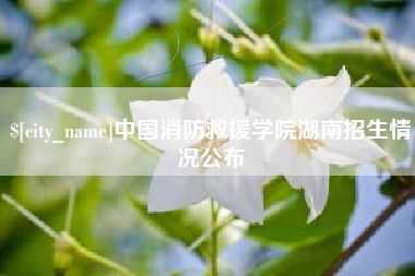 安丘中国消防救援学院湖南招生情况公布