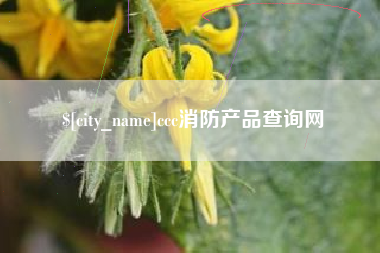 安丘ccc消防产品查询网