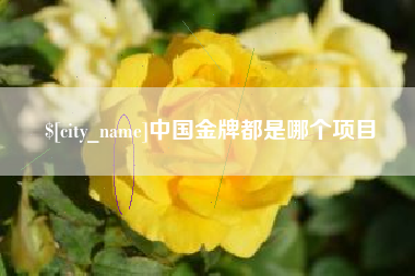 安丘中国金牌都是哪个项目