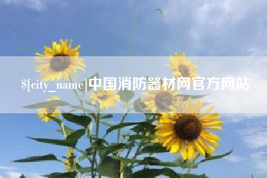 安丘中国消防器材网官方网站