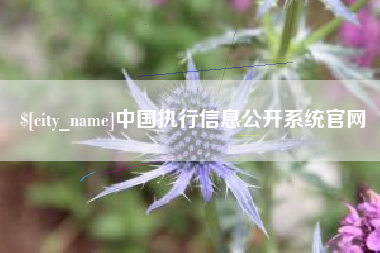 安丘中国执行信息公开系统官网