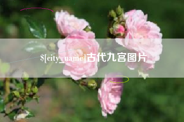 安丘古代九宫图片