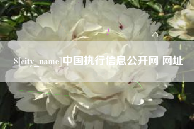 安丘中国执行信息公开网 网址