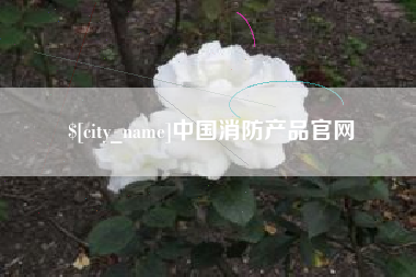 安丘中国消防产品官网