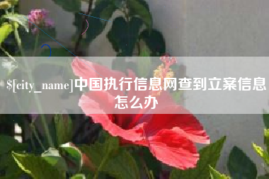 安丘中国执行信息网查到立案信息怎么办