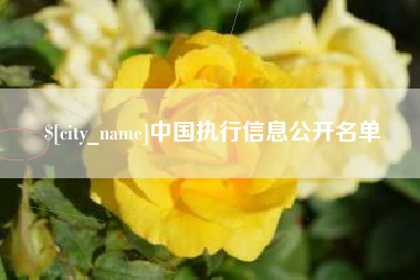 安丘中国执行信息公开名单