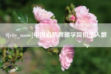 安丘中国消防救援学院招生人数